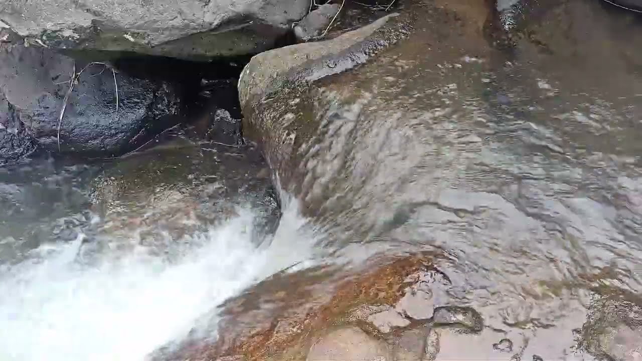 Calming River Flow Sounds | Natural Stream Water for Sleep, Relaxation & Meditation