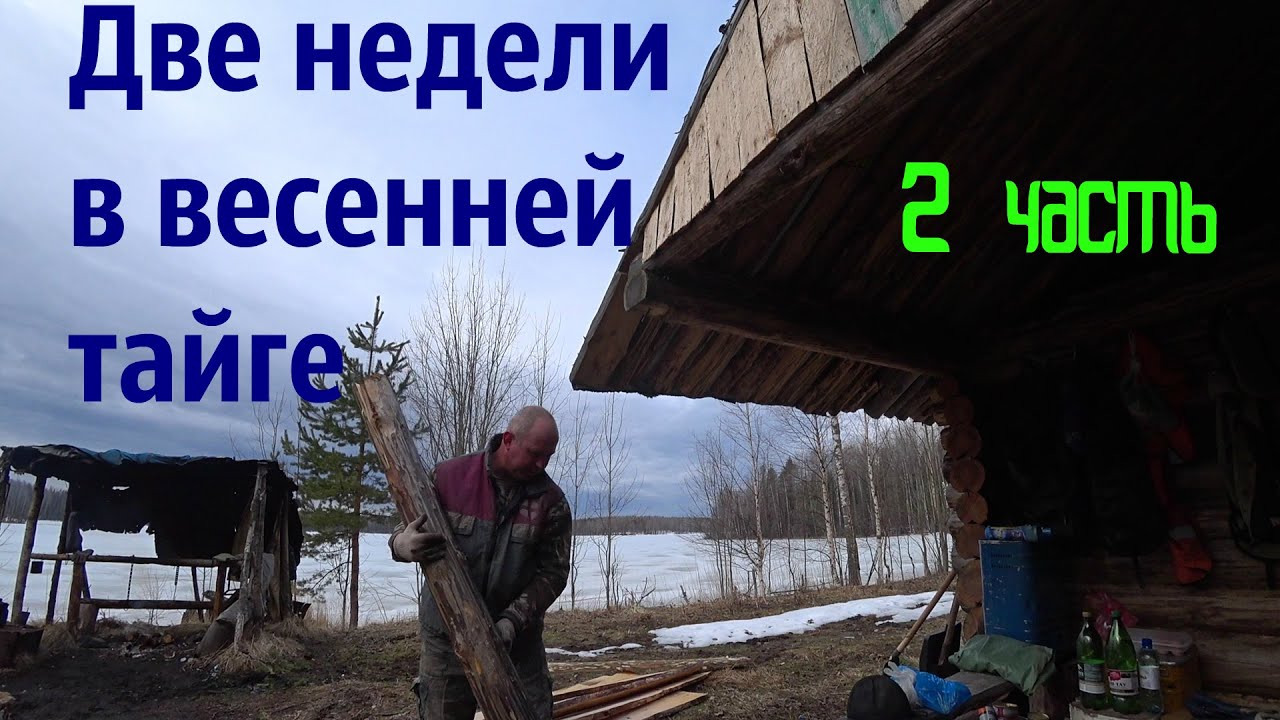 Пол месяца в весенней тайге/стройка/быт/березовый сок/2 часть