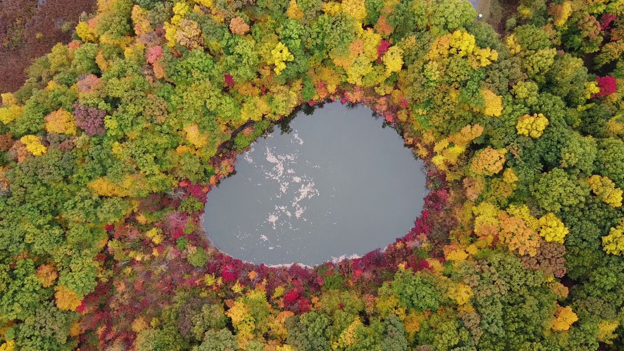 Devil's Bathtub, Mendon Ponds Park, October, 2020