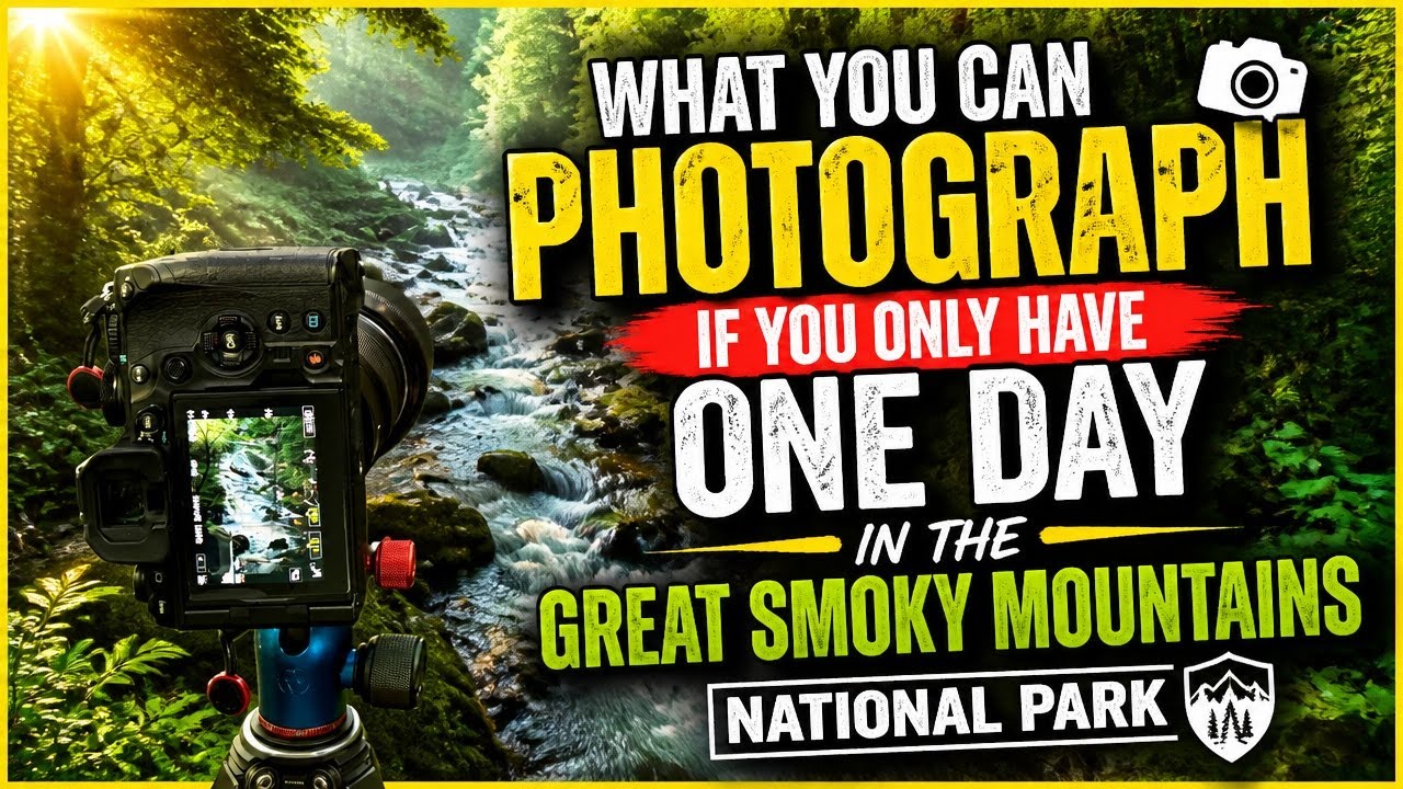 What You Can Photograph if You Only Have One Day in the Great Smoky Mountains National Park