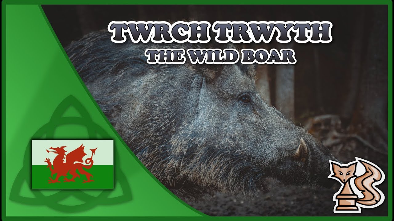 Twrch Trwyth - The Wild Boar (Welsh Legend - Celtic Mythology)