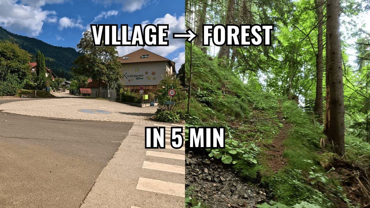From Village to Forest 🌲 | Timelapse Walk in Styria (5× Speed)