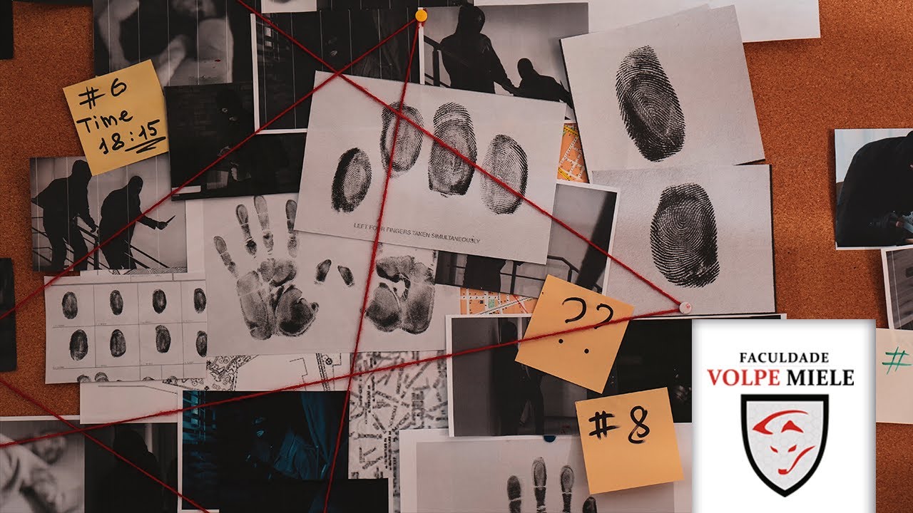 Profiling Criminal: Introdução à Análise Comportamental no Contexto Investigativo