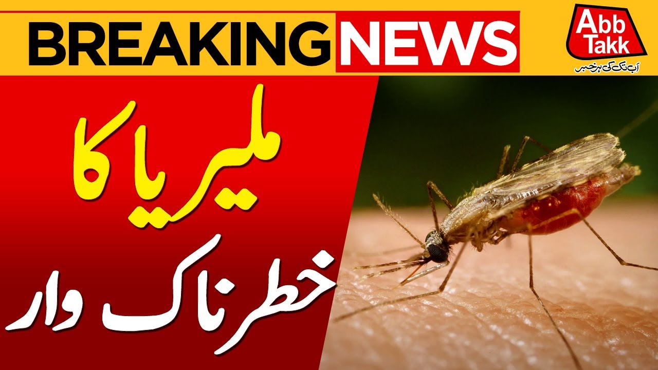 Malaria In Pakistan | Malaria Cases Massive Increase | Breaking News | Abbtakk News