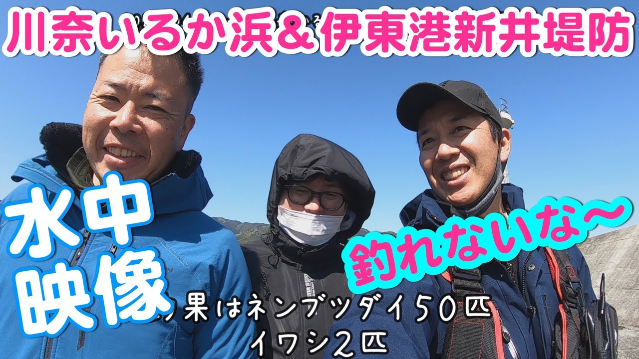 【水中映像あり】伊豆半島伊東川奈いるか浜＆伊東港新井堤防でカゴ釣りとフカセ釣りに挑戦！前半釣りの様子、後半水中動画2021年4月