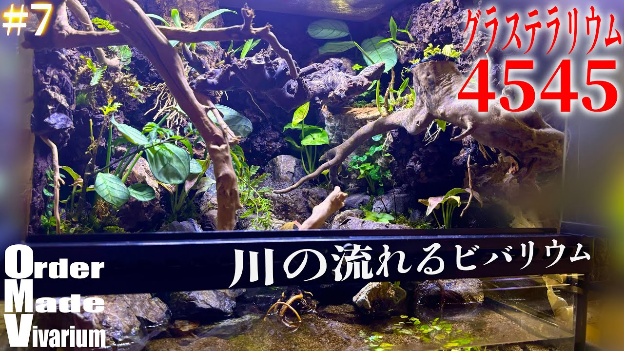 樹上性のカナヘビを飼育する為のアクアテラリウムを作る〜OrderMadeVivarium #7〜