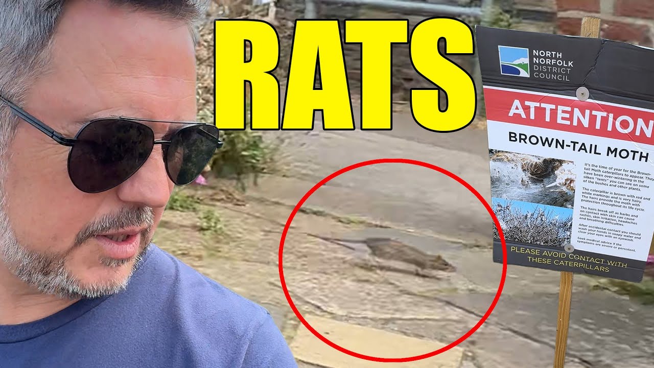 UK Tourist Town Surprise!