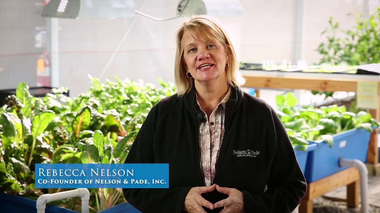 Clear Flow Aquaponic Systems from Nelson and Pade