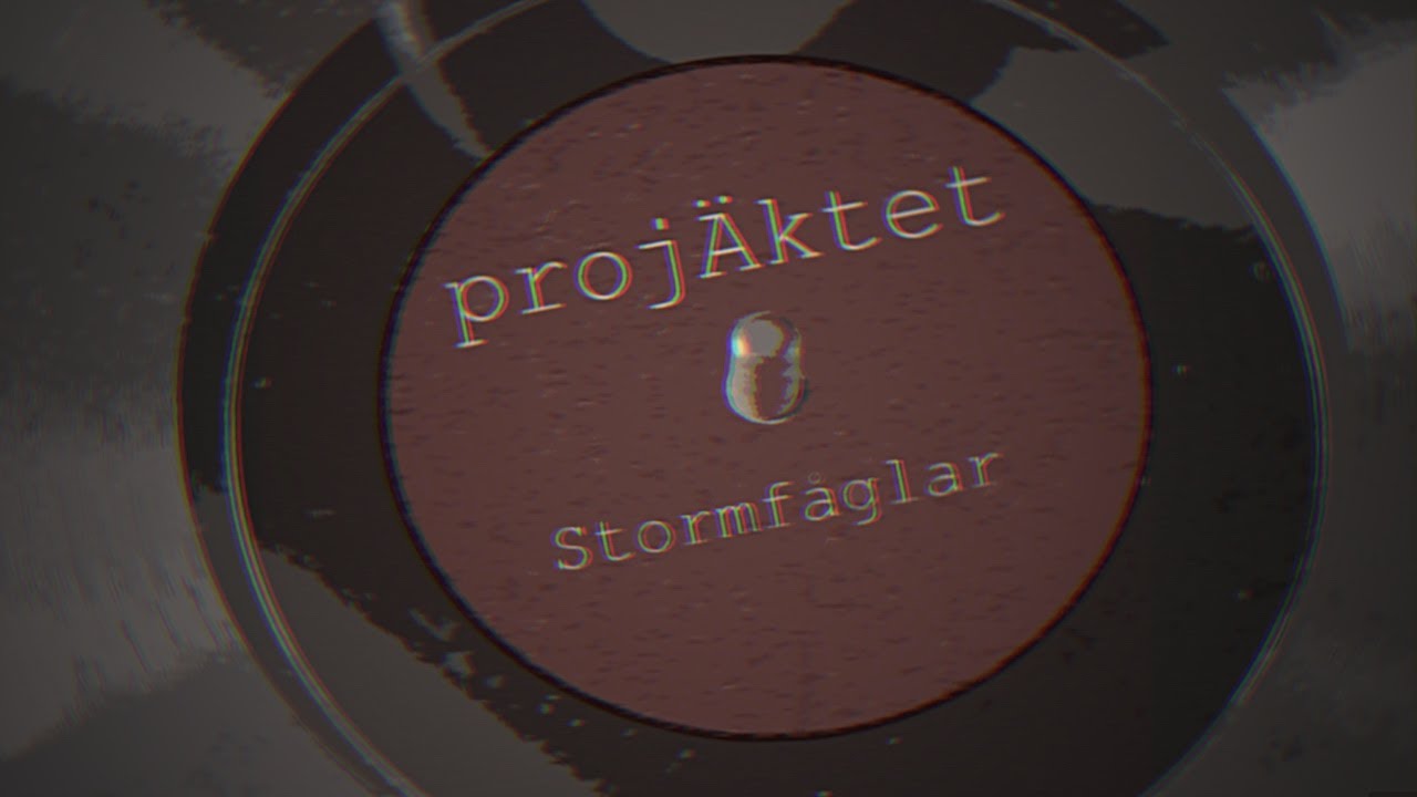 projÄktet – Stormfåglar