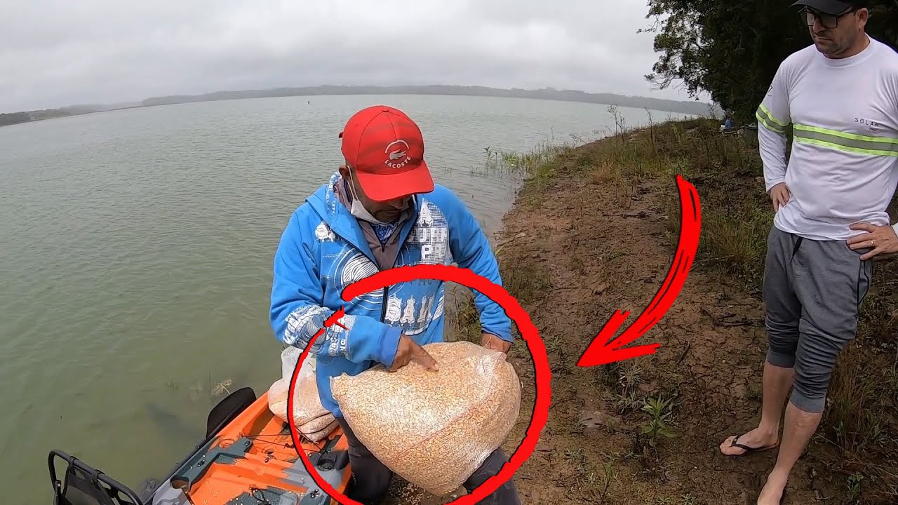 COMO ATRAIR AS GIGANTES CARPAS DA REPRESA PARA SUA CEVA!