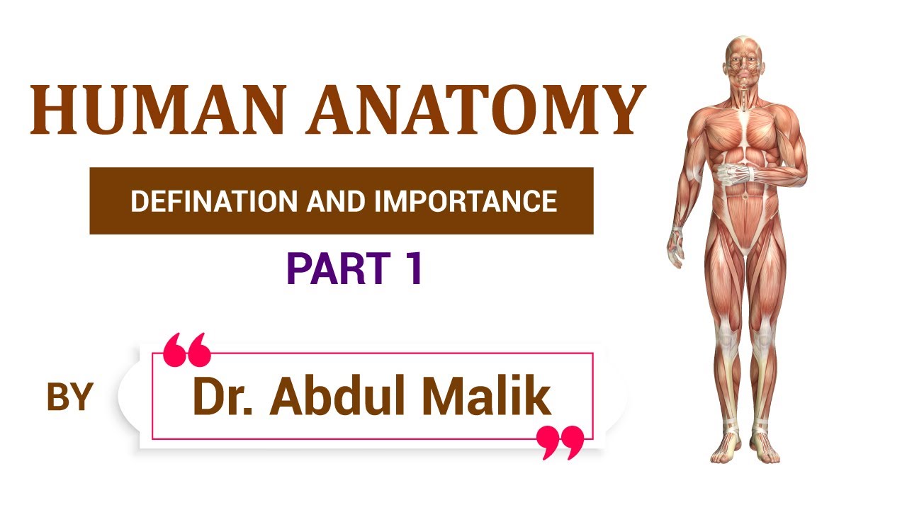 Anatomy | branches of anatomy | definition of anatomy | Dr. Abdul Malik