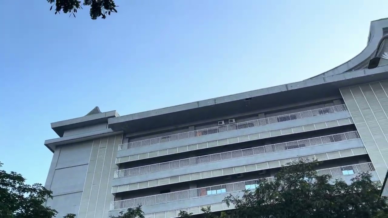 Duo Mini Macaws free flying high in front of Tzu Chi School: 13.5 minutes
