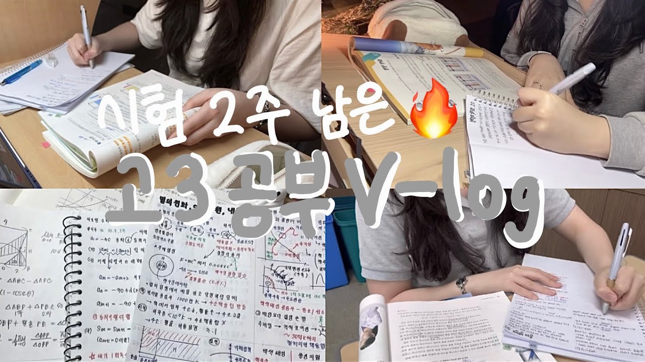 [study vlog] 2주동안 140시간 공부한 고3 마지막 시험 공부 브이로그🔥📚 | 과중반 | 07년생 | 내신 | 공부자극 | ASMR | 갓생
