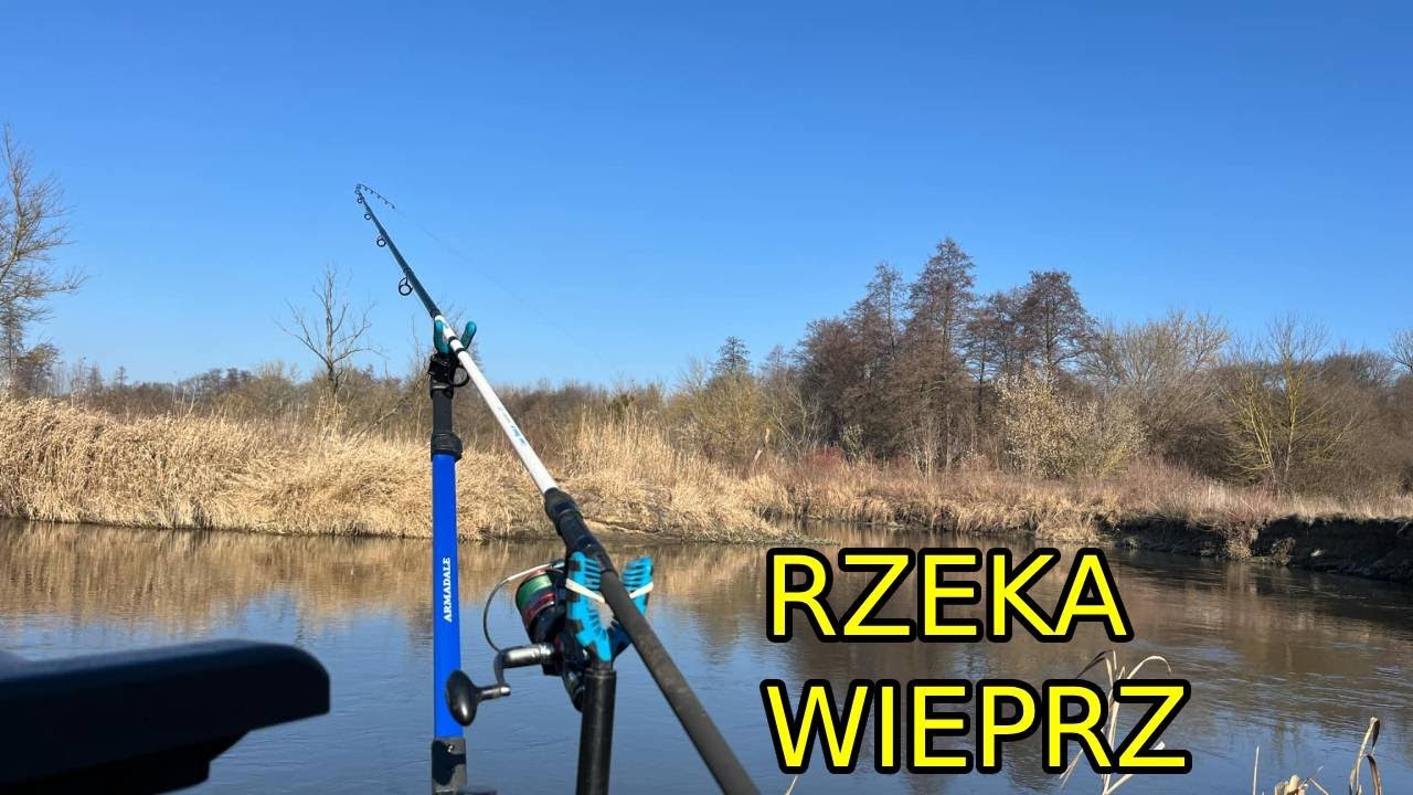 Pierwsze przetarcie na rzece - Rzeka Wieprz.