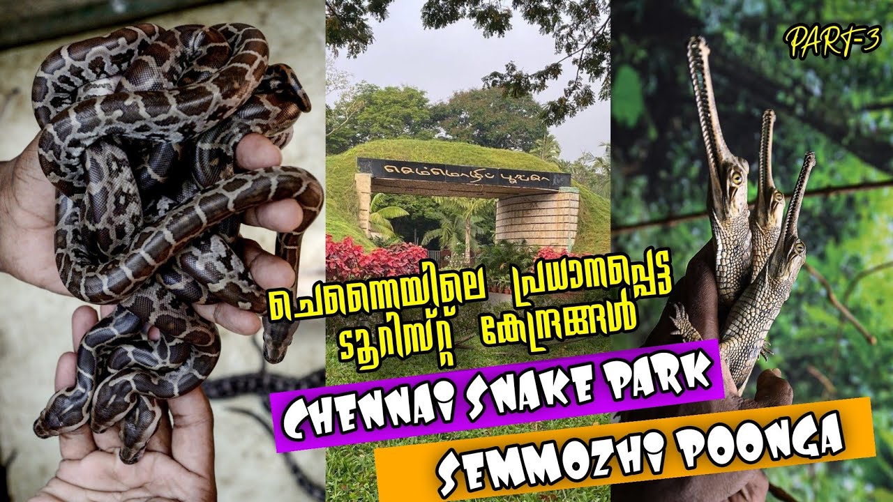 Chennai Tourist Places Malayalam Video | Guindy National Park | Semmozhi Poonga | Chennai Snake Park