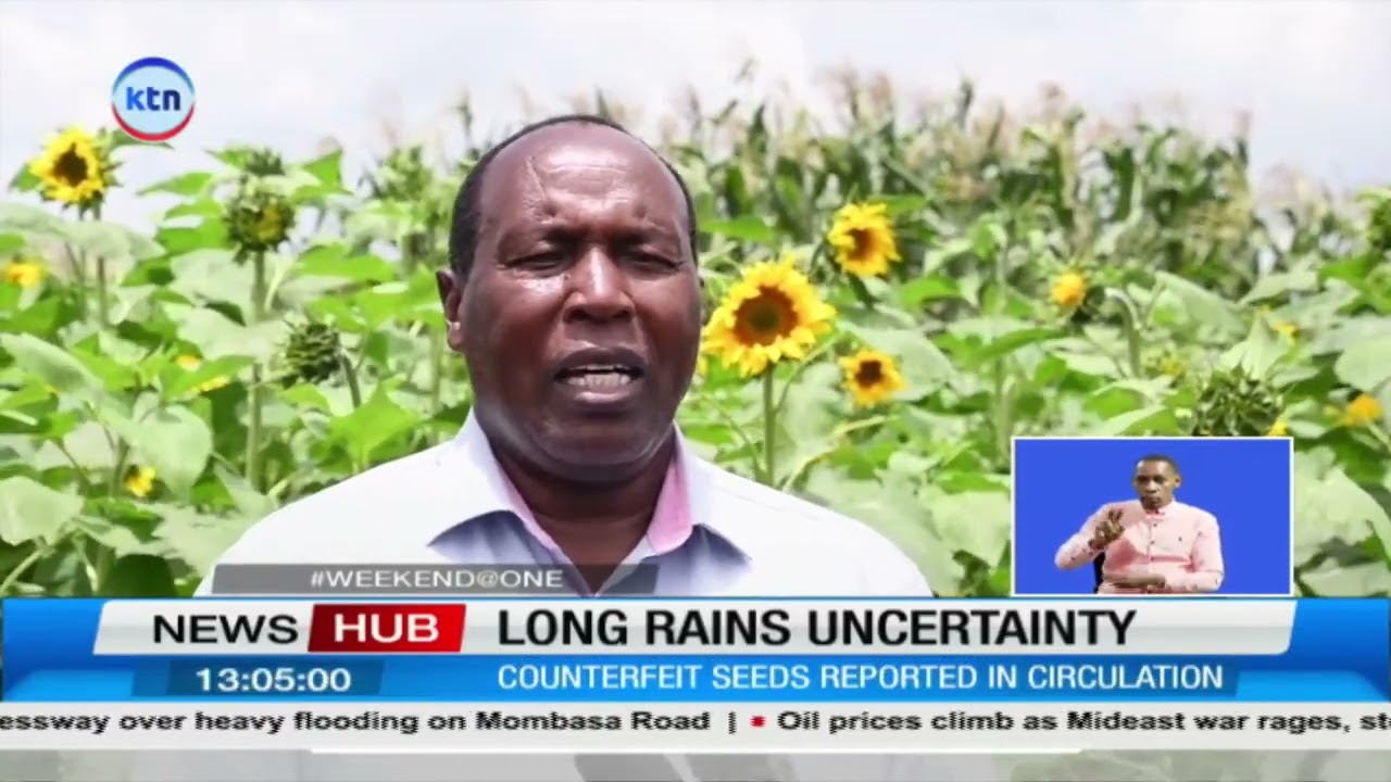 Farmers face uncertainty as long rains begin after months of drought