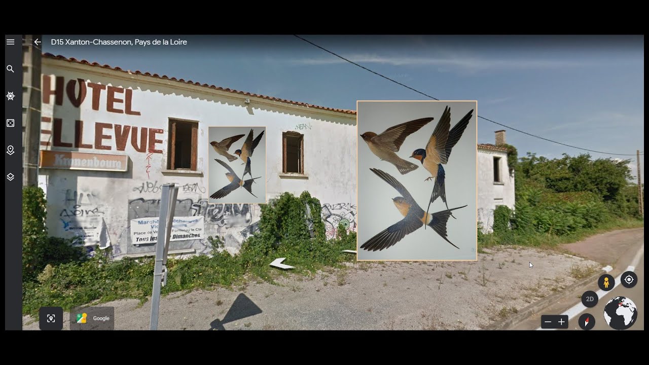 disparition des hirondelles 6mns 20