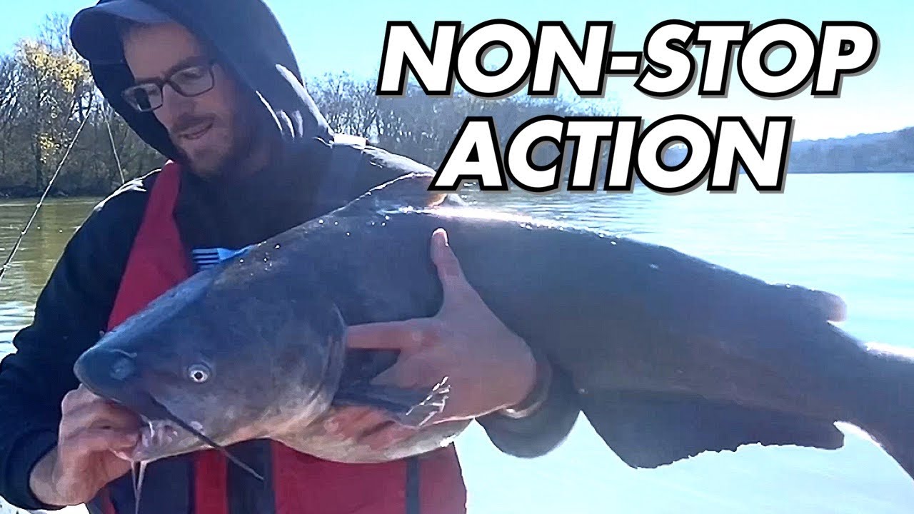 The Most Overlooked Technique for Catching Catfish On a River
