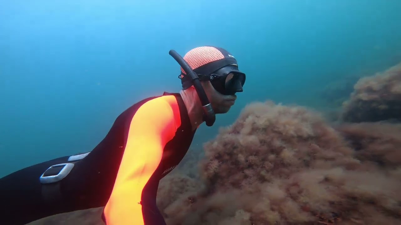 Freediving in Kullaberg, Sweden