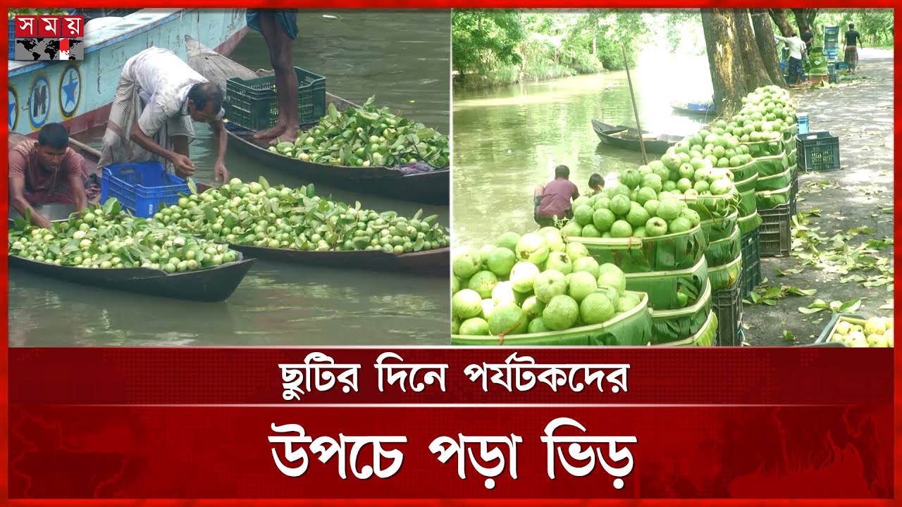 ভাসমান পেয়ারা বাজারে পর্যটকদের মিলনমেলা | Jhalakathi Guava Market | Somoy TV