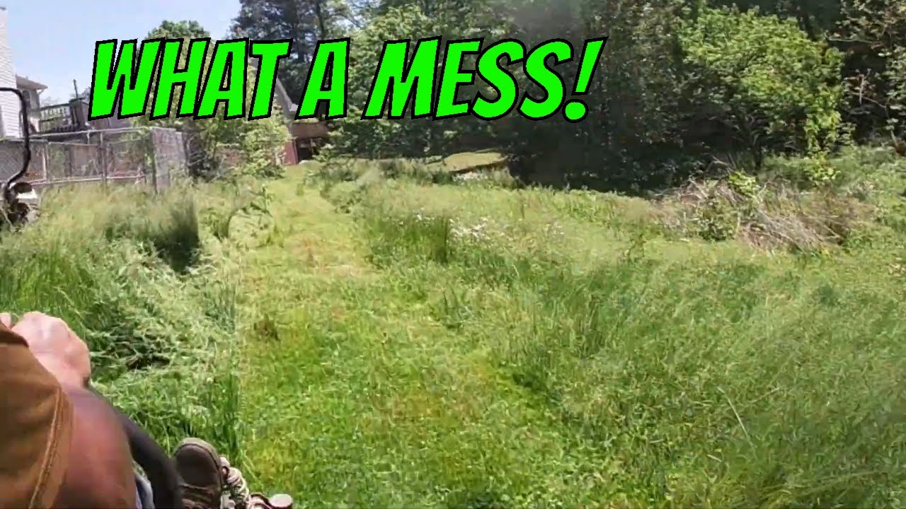 This LAWN was very MESSY - From OVERGROWN tall grass to short lawn in no time
