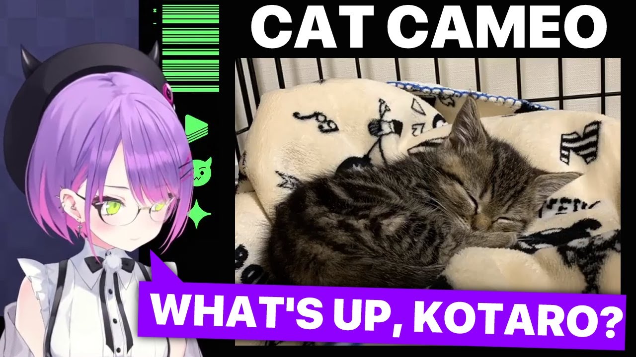 Towa's Cat Drops Into The Stream (Tokoyami Towa / Hololive) [Eng Subs]