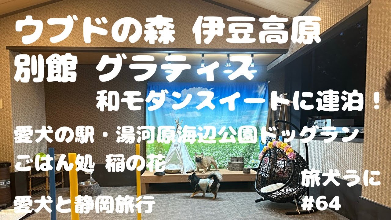 犬#65【静岡】ウブドの森 グラティス  和モダンスイート　2023 旅犬うに