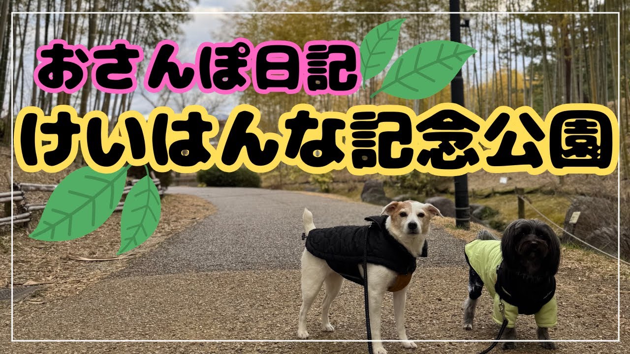 けいはんな記念公園でのんびりお散歩｜A Peaceful Walk at Keihanna Memorial Park