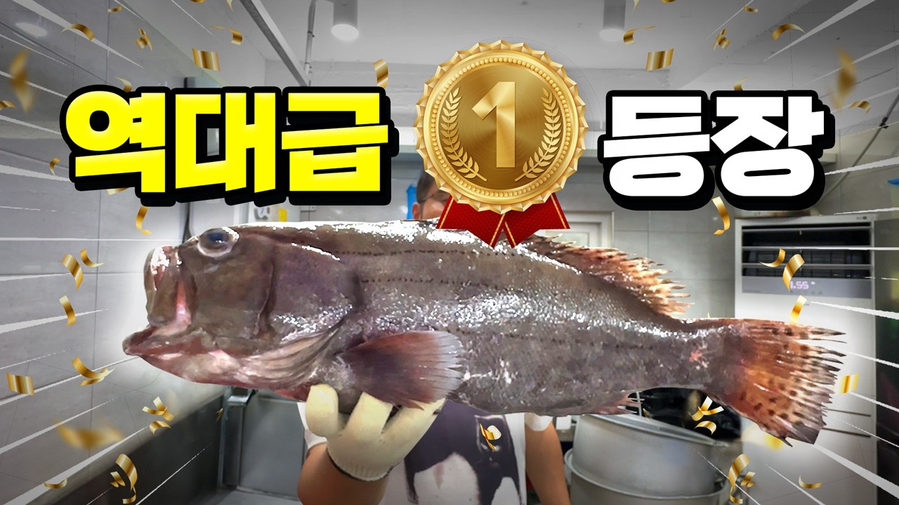 맛 1등 생선 찾았습니다. 킹 오브 바리!! 