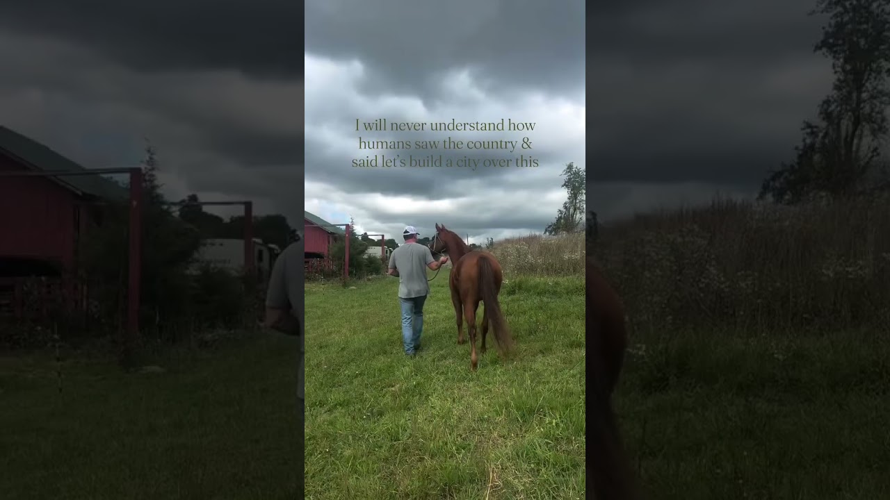 The Death of the Family Farm 🚜💔 