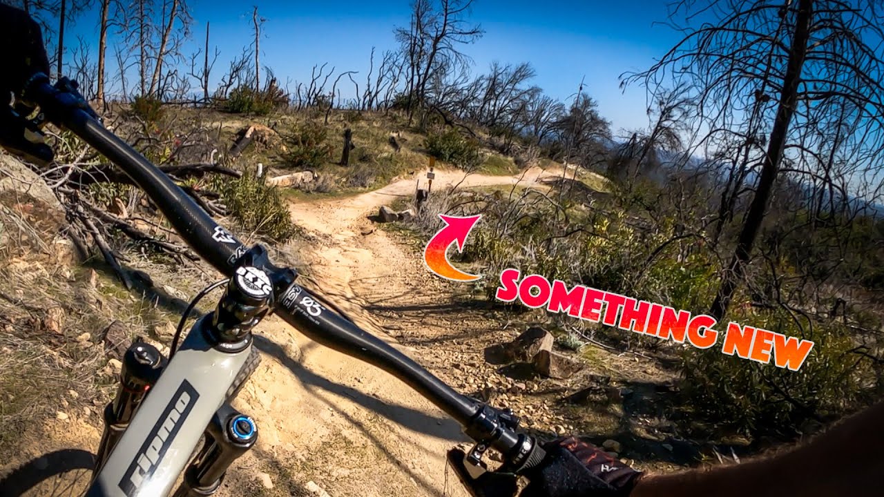 Пришло время последовать собственному совету | Mountain Biking Redding, Калифорния