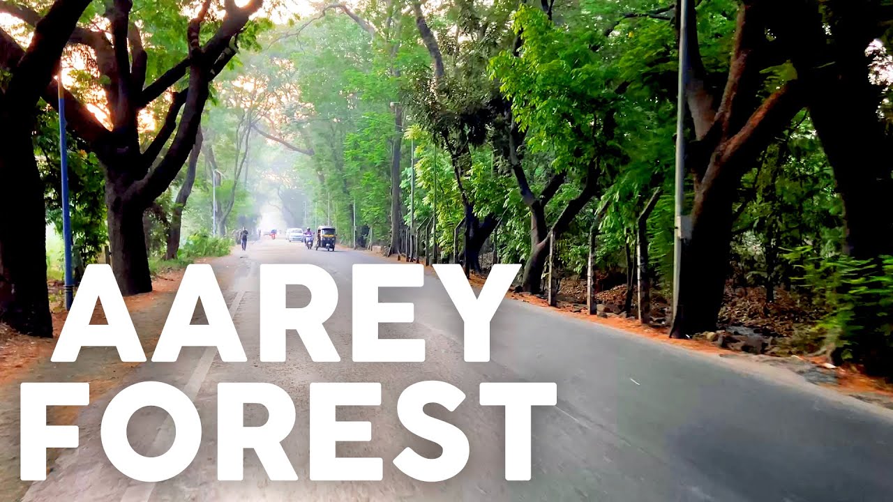 Aarey Forest Tour | Travel Vlog | Aarey Colony | Mumbai's Jungle | #MotoVlog | Raasta On Wheels