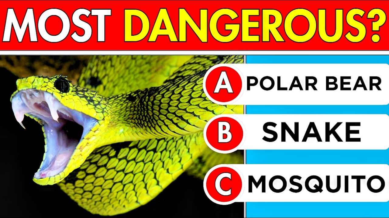GENERAL KNOWLEDGE TRIVIA QUIZ!✅🤔- 50 General Knowledge Questions!