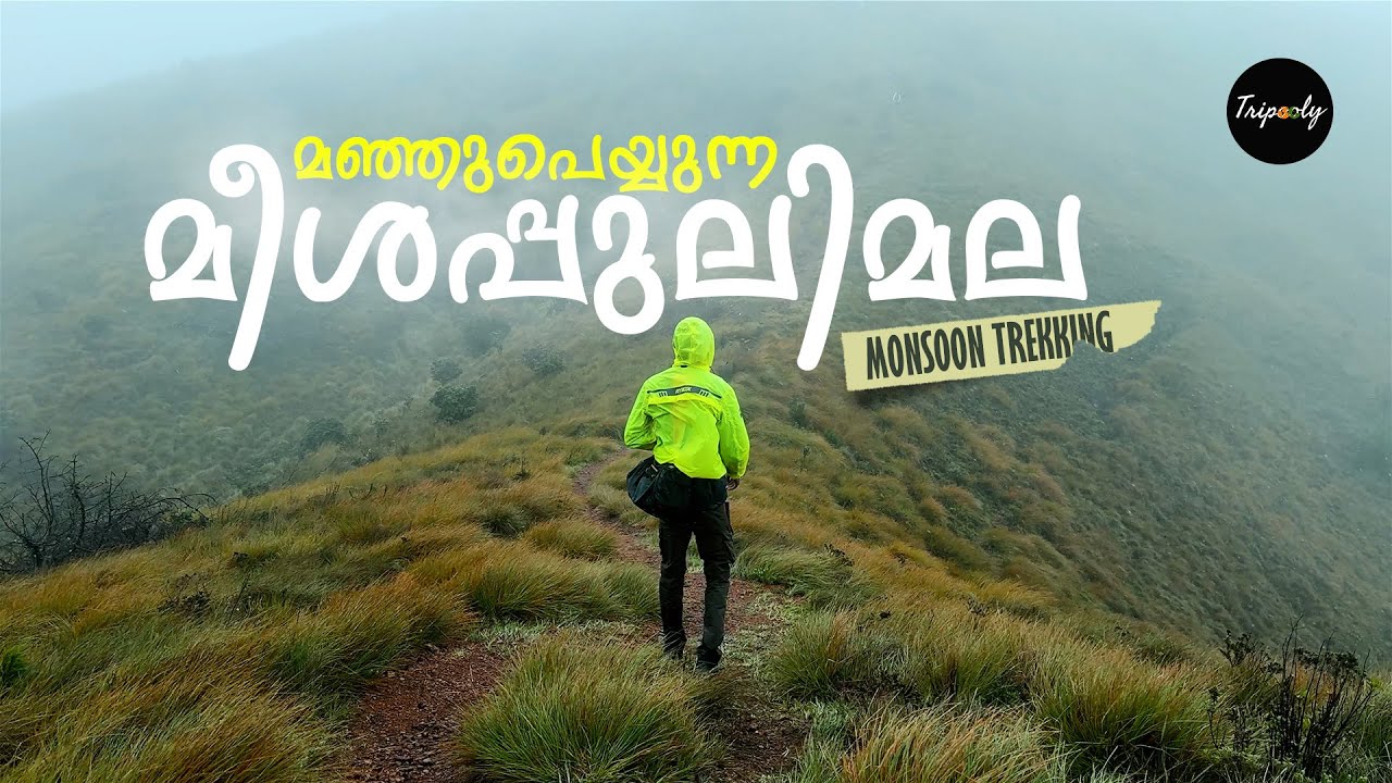 Meesapulimala Monsoon Trek 🌧️🏔️ Lost in the Clouds of Munnar| മീശപ്പുലിമലയിൽ മഞ്ഞു പെയ്യുന്നത് കാണാൻ