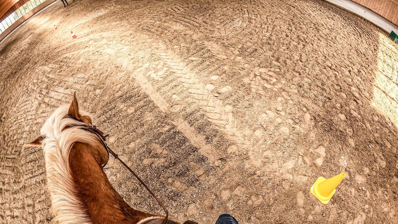 Reittraining - Pylonentraining - Das Auge