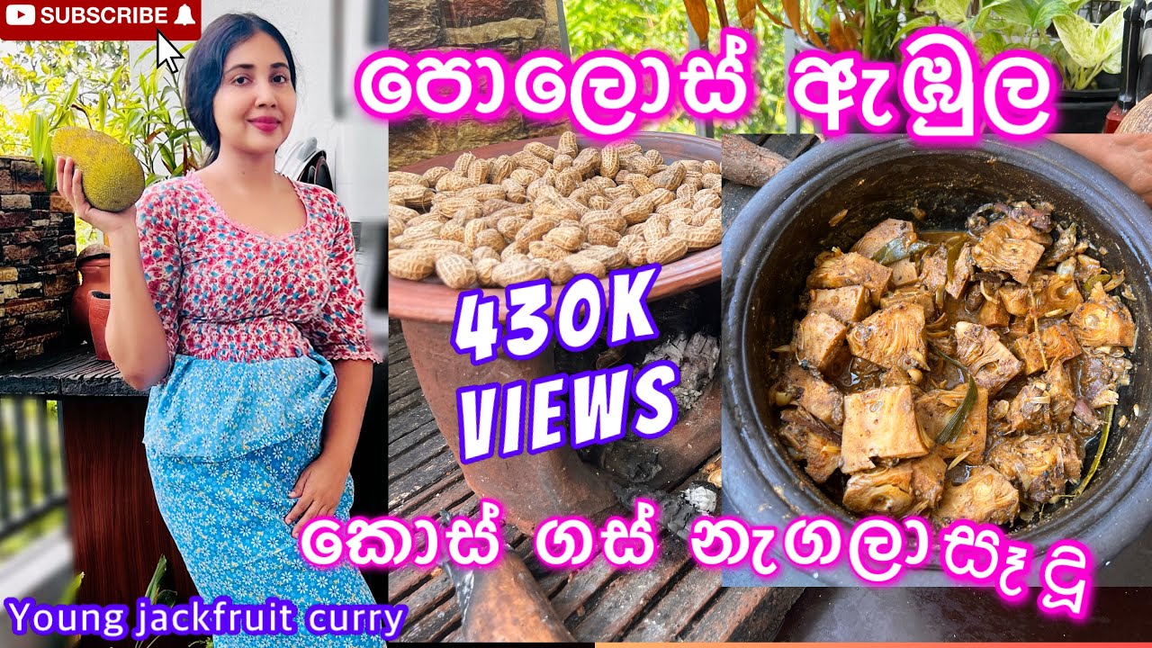 කහට කෝප්පෙකුත් එක්ක හැලප කාලා , පොලොස් එක්ක බත් කමු 😍 #young_jackfruit #villagelife