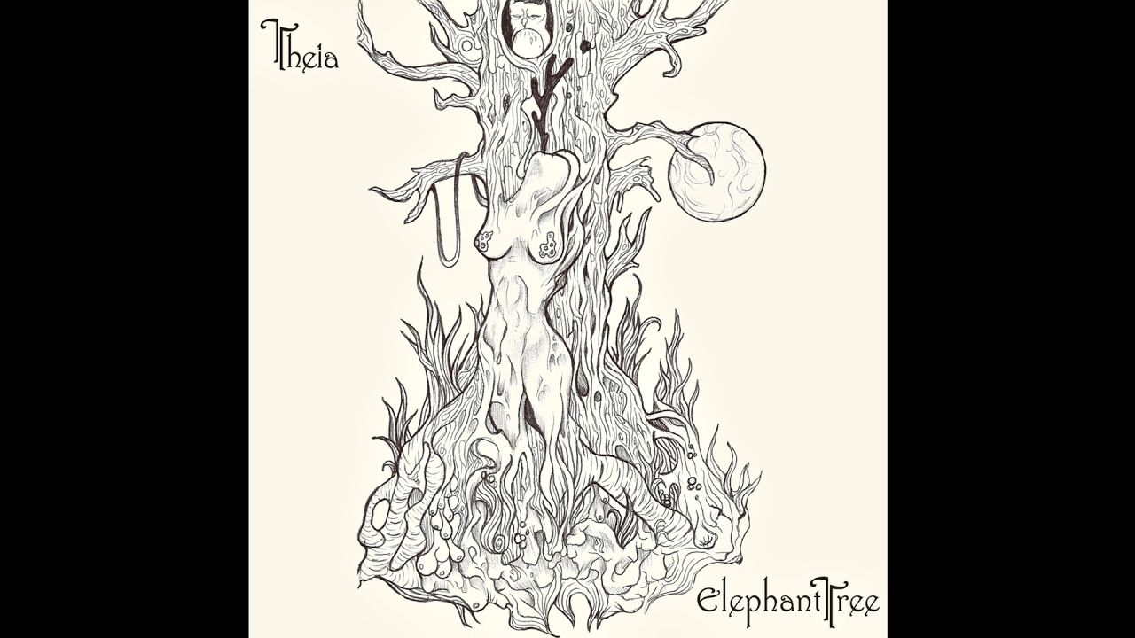 Elephant Tree 