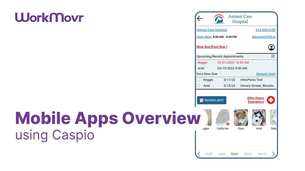 Mobile Apps Overview using Caspio