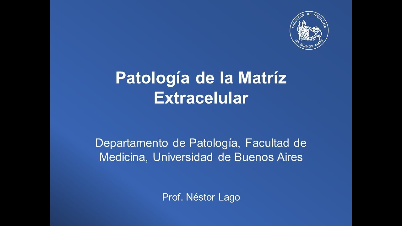 Clase: Patología de la Matríz Extracelular - Prof. Néstor Lago
