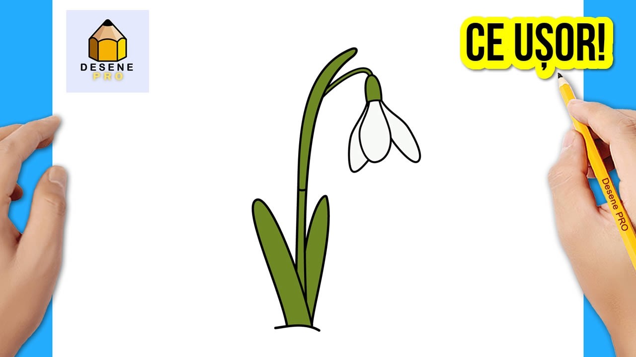 Cum Să Desenezi un Ghiocel | Desene de Desenat Pas cu Pas