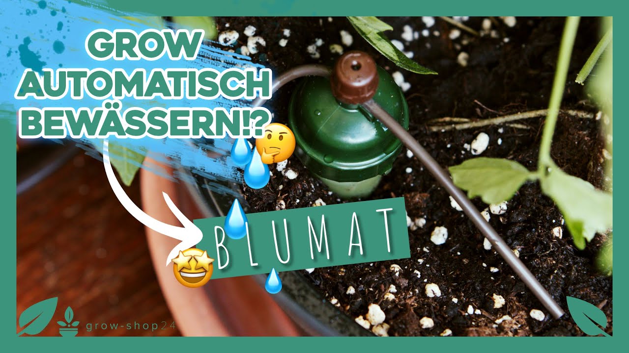 Tropf-Blumat &ndash; 🥦 Pflanzen automatisch bew&auml;ssern ohne Strom 💧