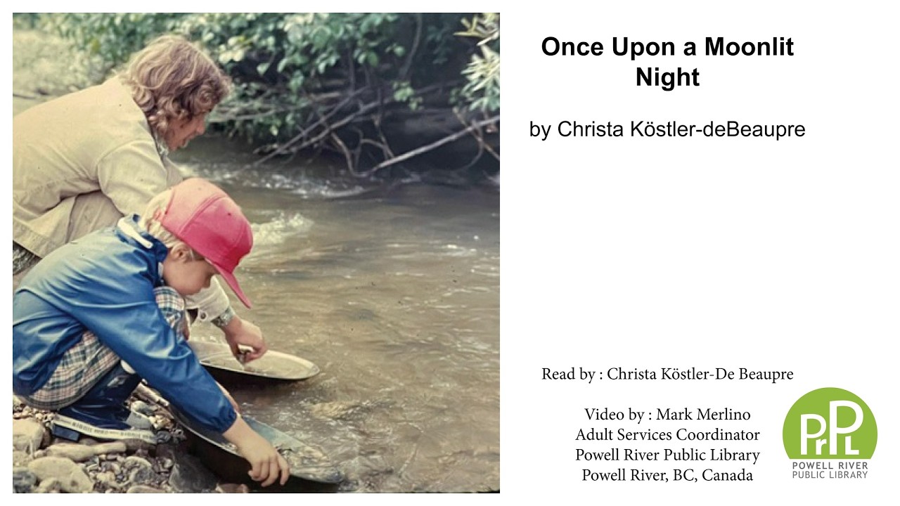 Once Upon a Moonlit Night by Christa Kostler de Beaupre