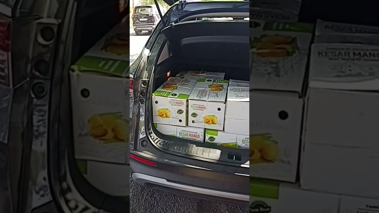Honda Elevate Boot Space Test | Gir Kesar Mango #mango #hondaelevate #bootspace