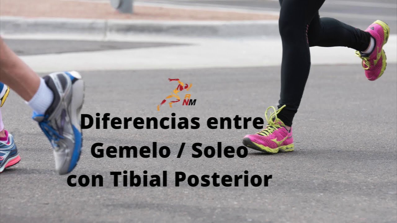 Gemelo-soleo vs. tibial posterior