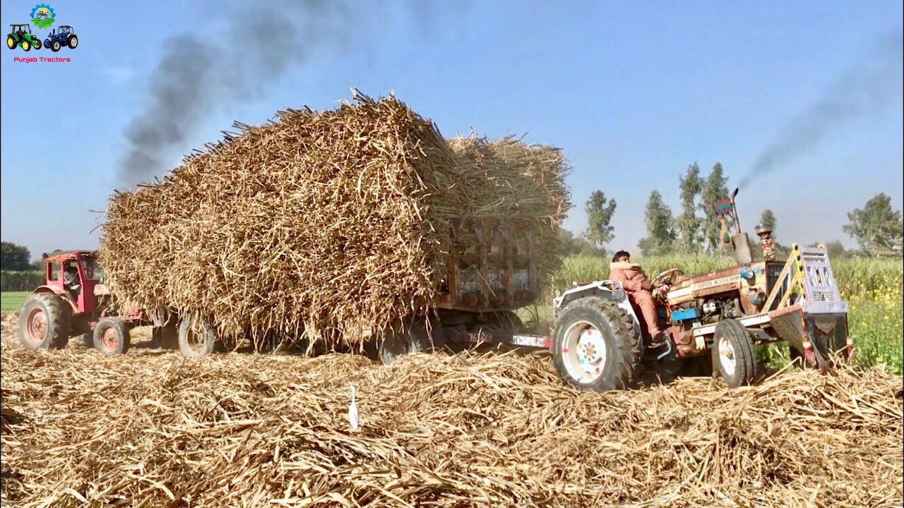 Tractor Stunt | Ford & Belarus Pull out Heavy loaded Trailer | Complete Watch