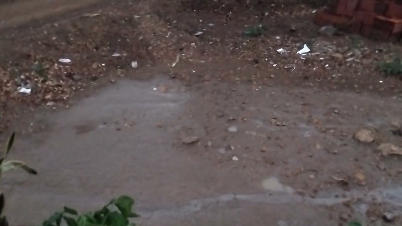 depois de un ano sem chover no sertão chuvas voltam cair 