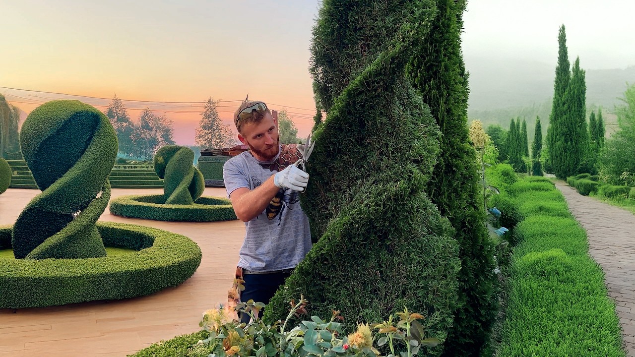 No One Believed a Hedge Trimmer Could Do THIS!