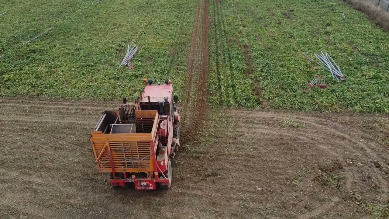 baragelli pancar sökümü shorts video