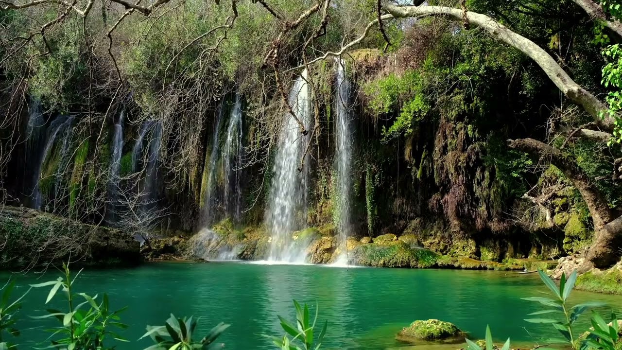 Wasserfall-Dschungel-Ger&auml;usche/zum Relaxen/Entspannen/Asmr