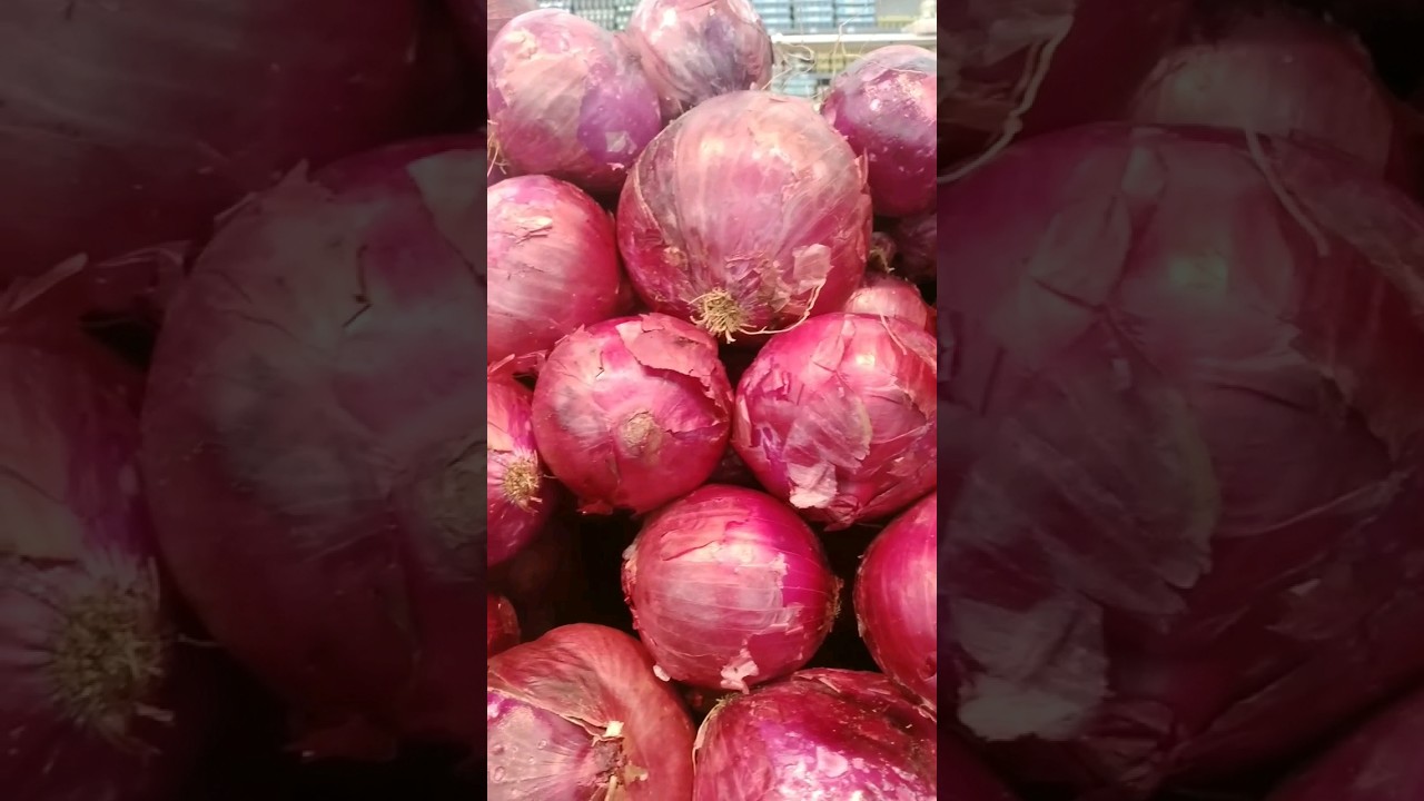 BENEF&Iacute;CIOS DA CEBOLA ROXA